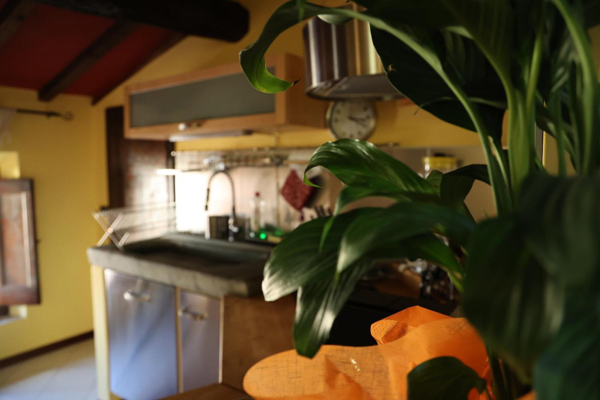 Mansarda Pescia Apartment Ngoại thất bức ảnh